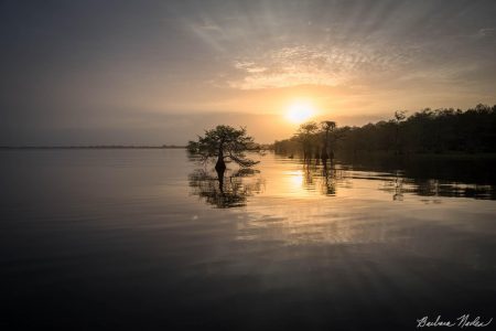 Sunrise at Blue Cypress Lake