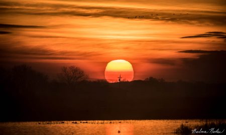 Sunrise waiting for the Sandhill Cranes