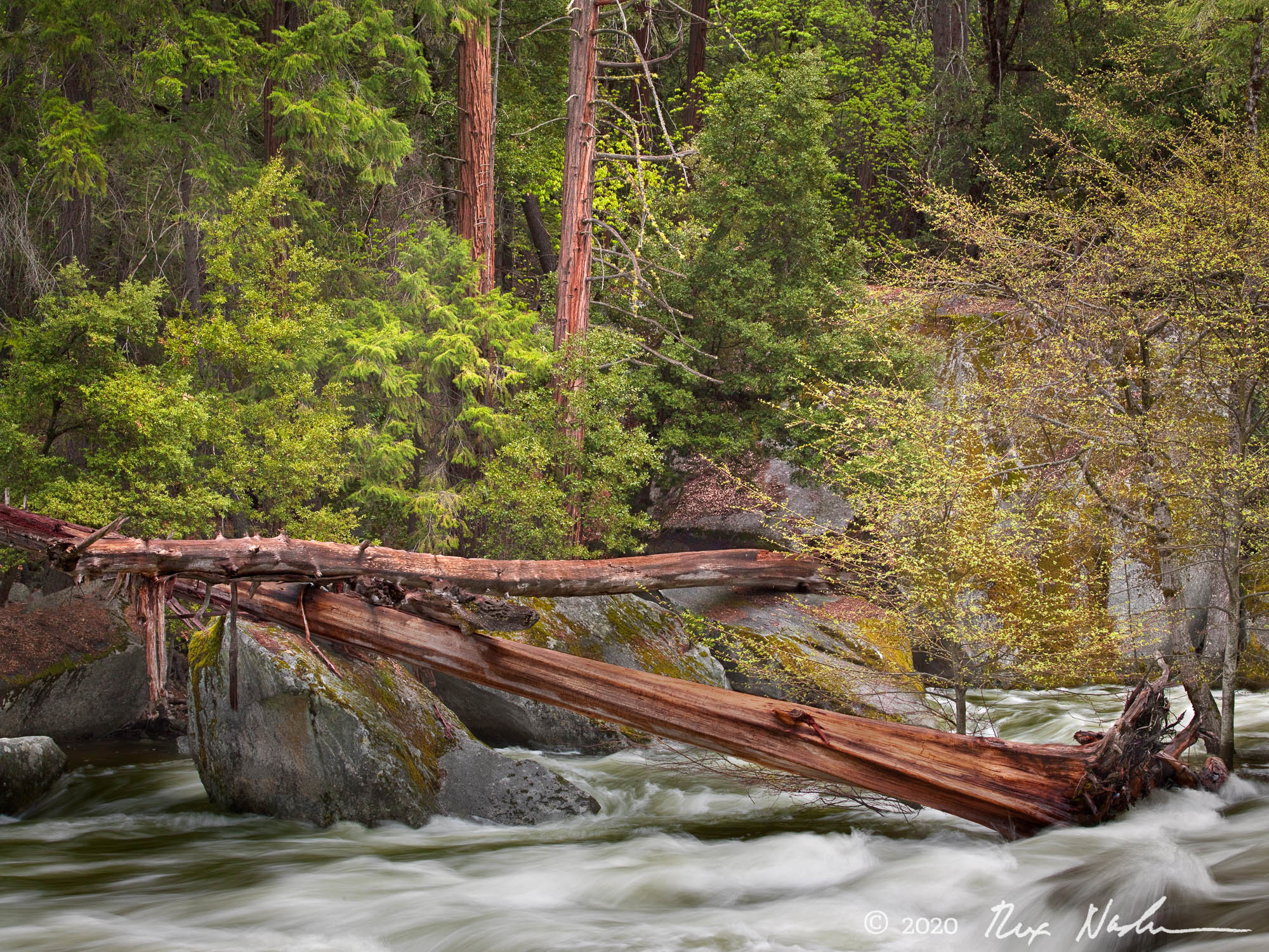 Realignment - Merced River, Yosemite