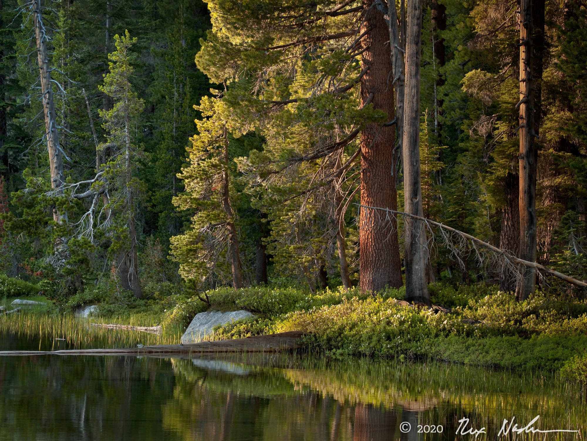 Last Light - Weston Lake, Yosemite High Country