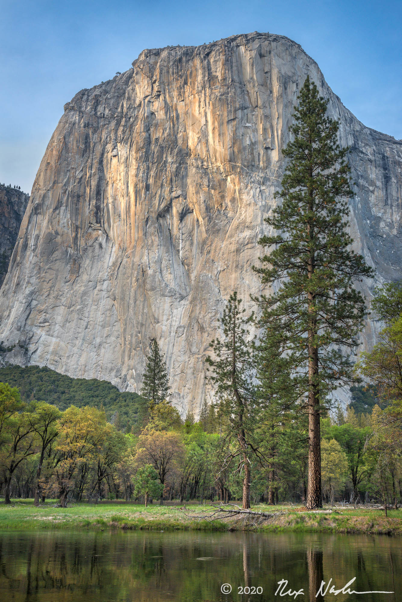 Face Time - Yosemite NP