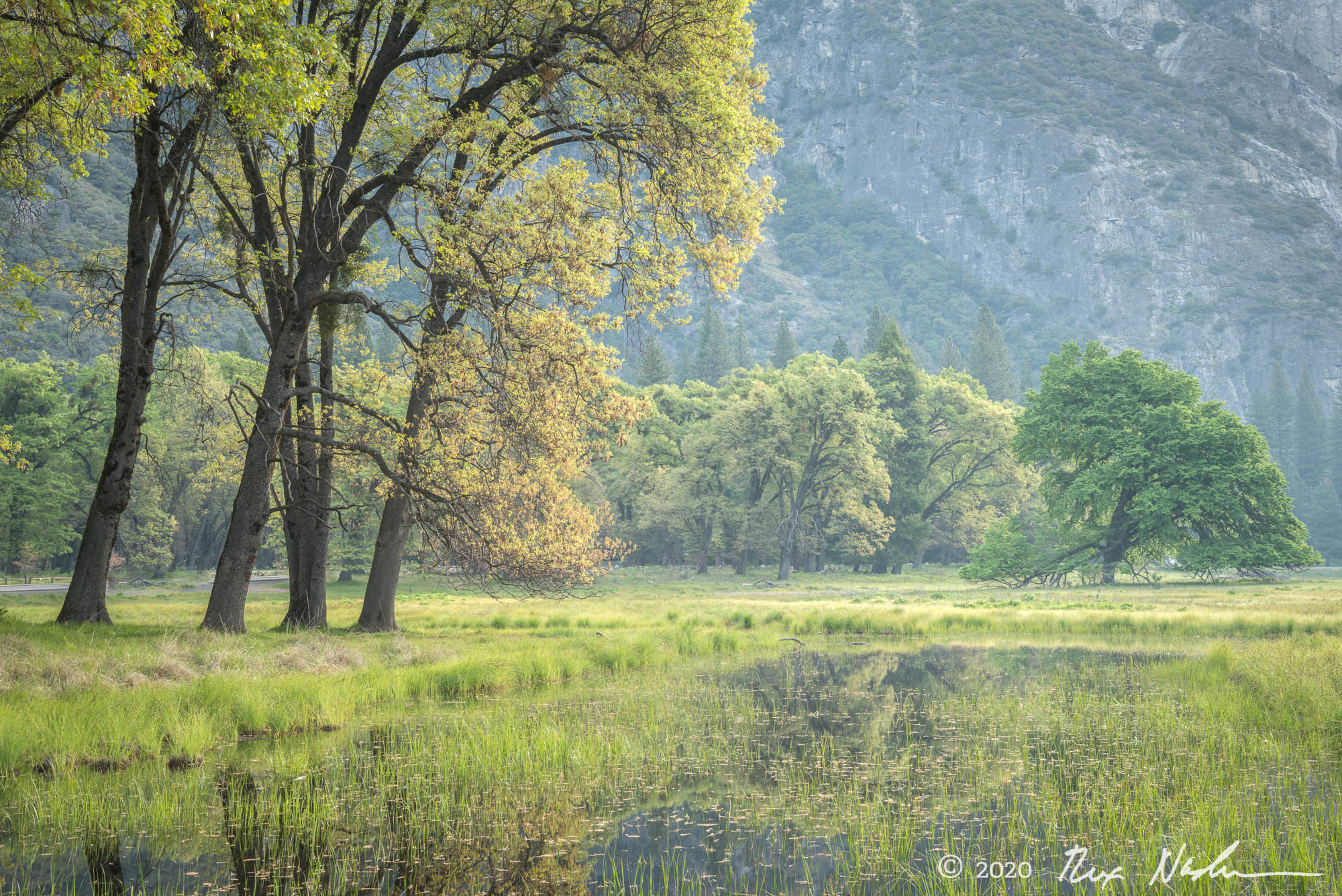 Reflective - Yosemite NP