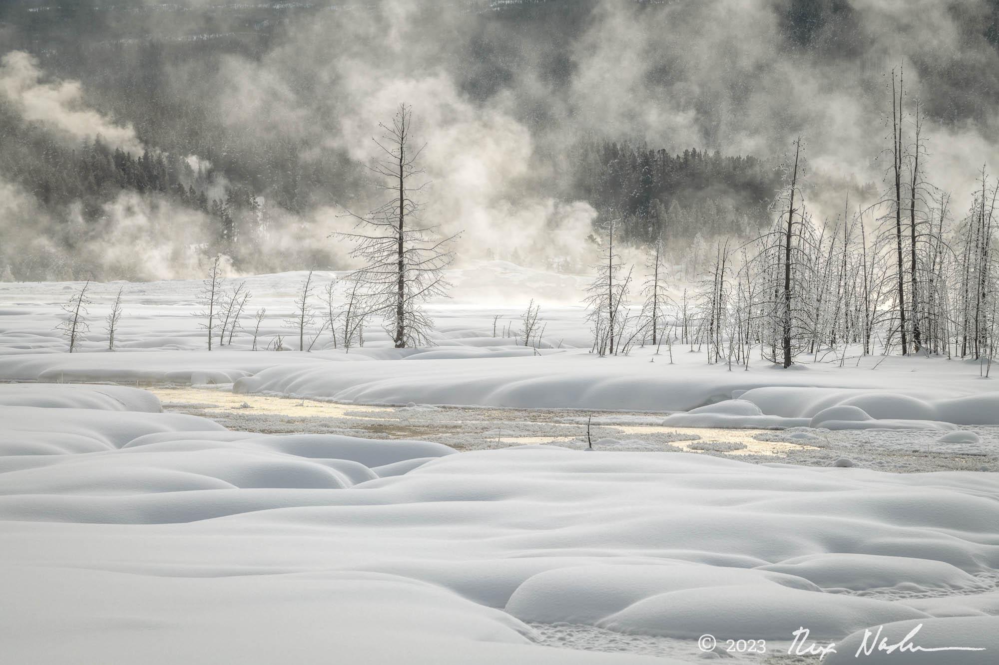Steam with Snow - Yellowstone NP