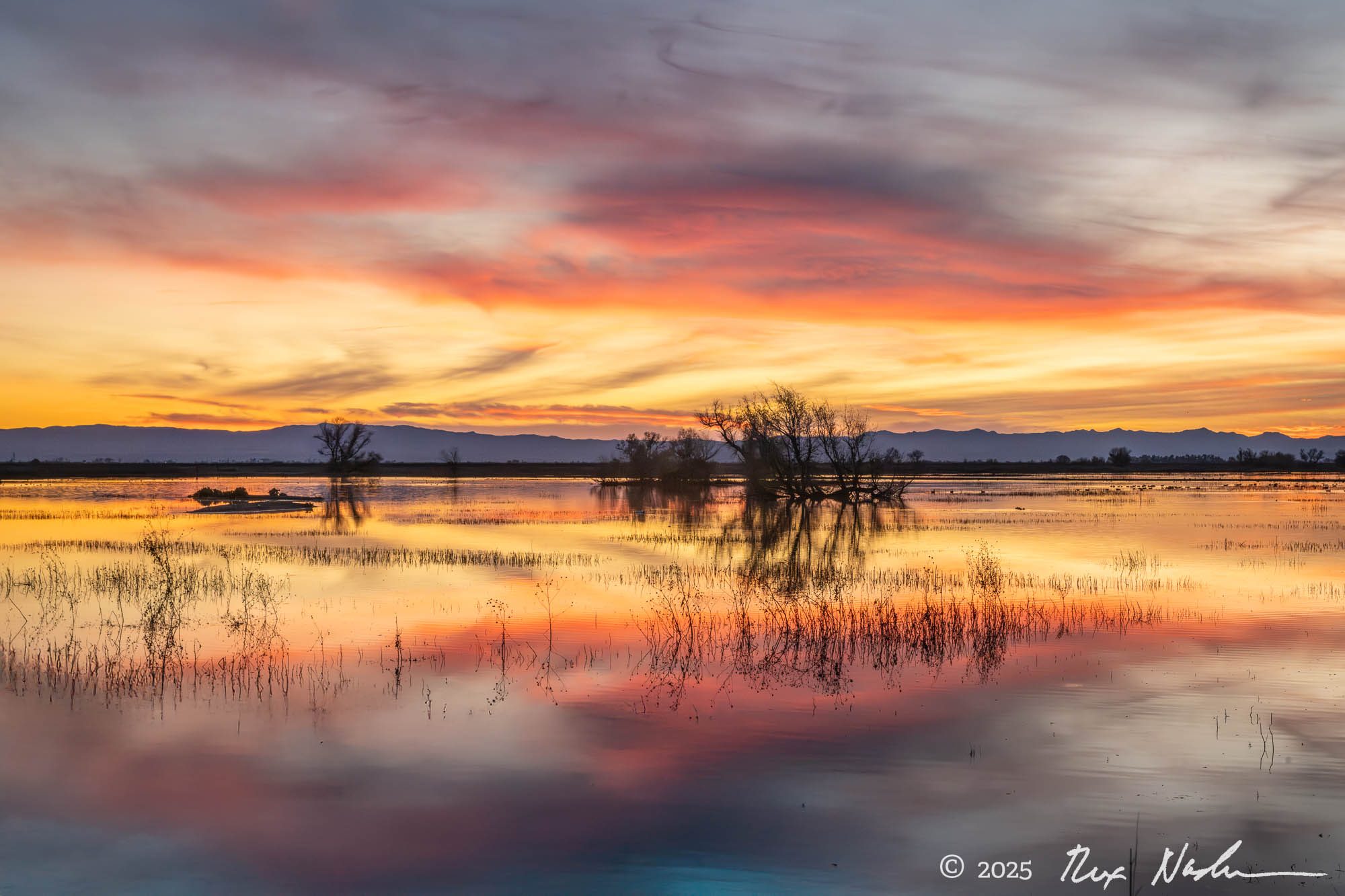 Refuge - Central Valley Flyway