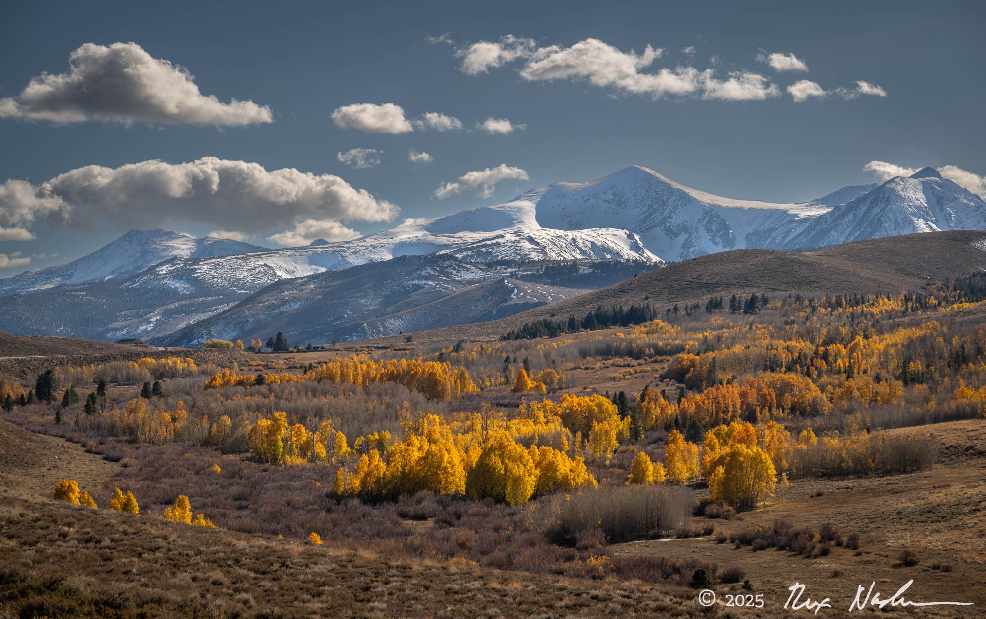 Range of Light, Aspen Groves - Echo Summit