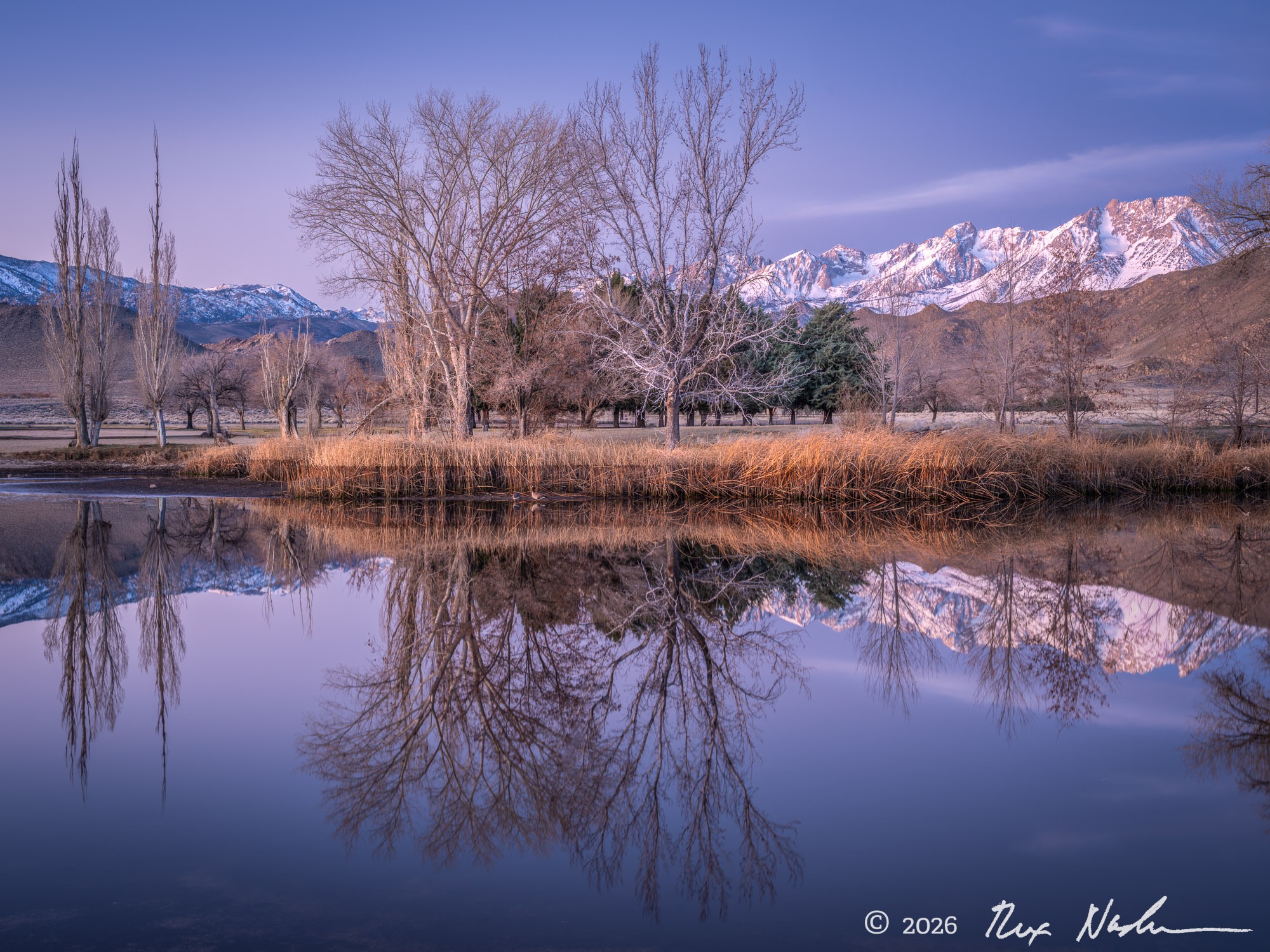 Dawn, Sierra Crest - Near Bishop, CA