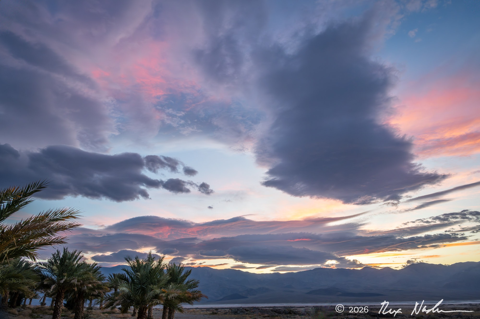 Sky with Date Palms - Death Valley