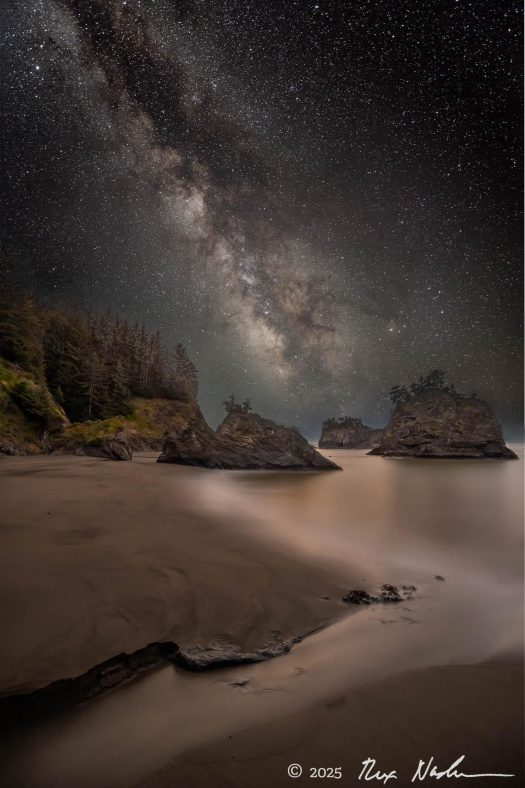 Forested Sea Stacks