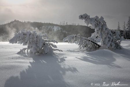 Extreme Snow Forms