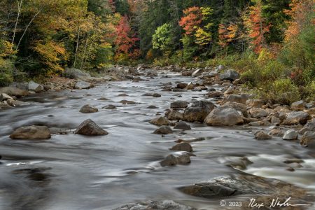 Smooth River, Autumn