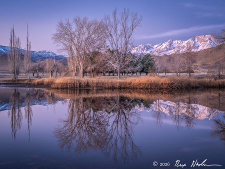 Dawn, Sierra Crest